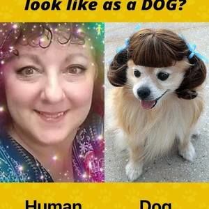 Meet your Posher, Mickey